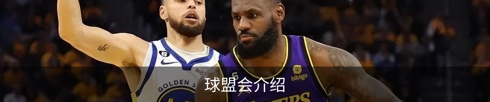 球盟会介绍